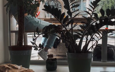 Lugares de interés de Barcelona