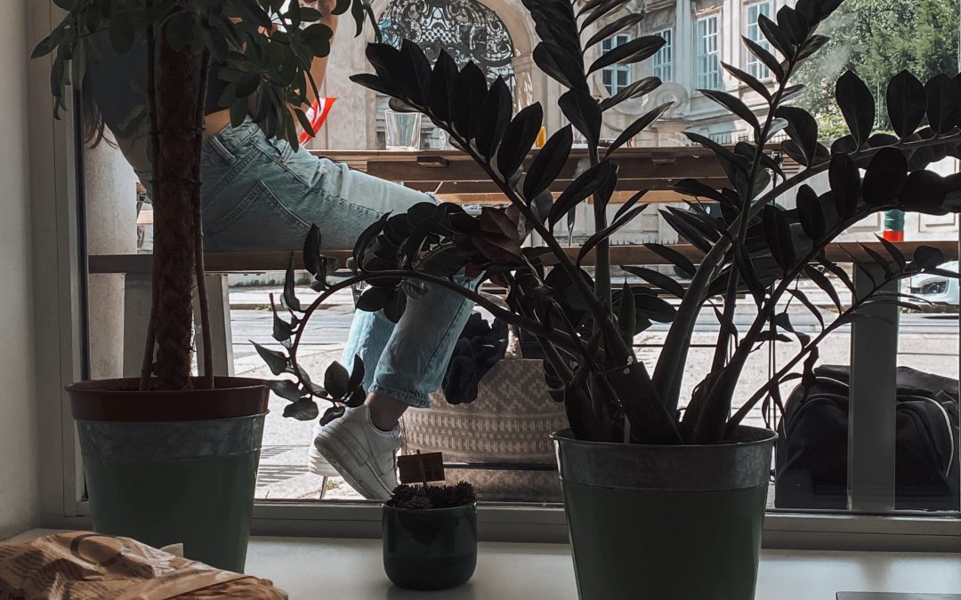 Barcelona sightseeing