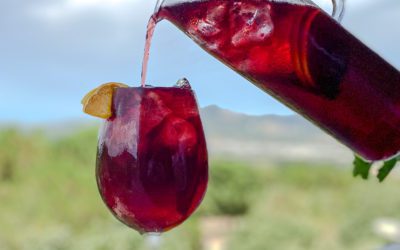 Tinto de Verano or Spanish Summer Wine